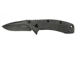 Kershaw 1556BW Cryo II Assisted Knife