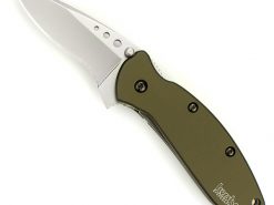 Kershaw 1620OL Scallion Knife Assisted