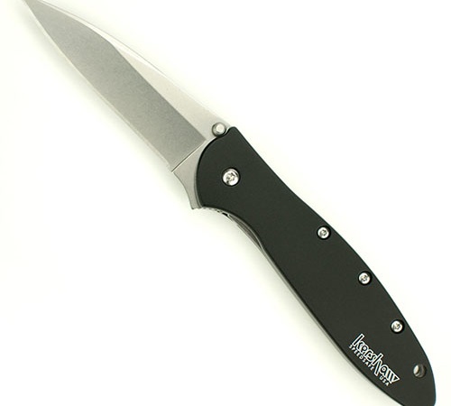 Kershaw 1660SWBLK Leek Knife Assisted