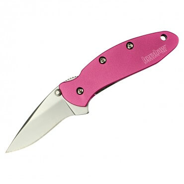 Kershaw 1600PINK Chive Assisted Knife