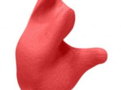Radians Custom Molded Earplugs Red
