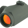 Aimpoint_Micro_T-1_1_RF