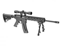 Smith & Wesson M&P 15-22 Sport