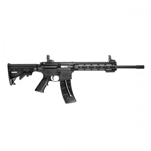 Smith and Wesson MP15-22 Sport 10208