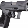 Taurus GX4™ Black 9mm Luger Micro-Compact 11 Rds. Taurus GX4™ Black 9mm Luger Micro-Compact 11 Rds.